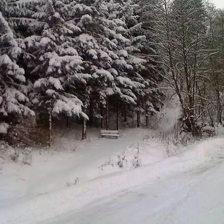 Beautiful In The Romantic Bode Gorge Directly On The Edge Of The Forest With Fireplace