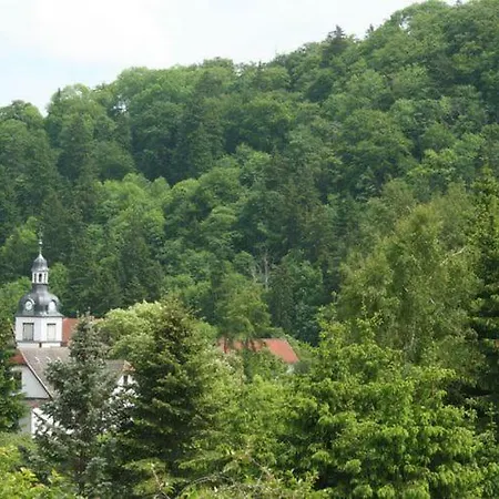 Beautiful In The Romantic Bode Gorge Directly On The Edge Of The Forest With Fireplace Apartment *